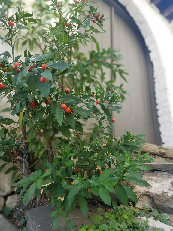 Lori'S Traditional House Gjirokastra Zewnętrze zdjęcie